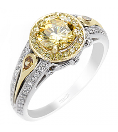 Two-Tone Halo Ring KS9011-R