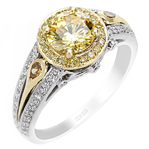 Two-Tone Halo Ring KS9011-R